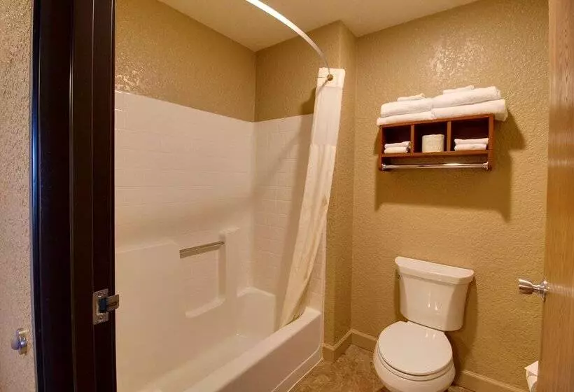 ２ダブルベッドのスタンダードルーム, Best Western Harbour Pointe Lakefront
