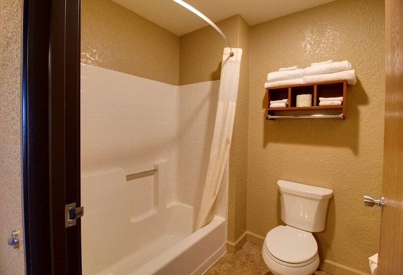 Номер Стандарт Вид на Озеро, Best Western Harbour Pointe Lakefront