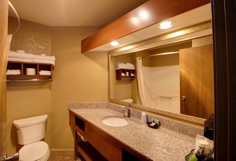 Номер Стандарт 2 Двуспальные Кровати, Best Western Harbour Pointe Lakefront