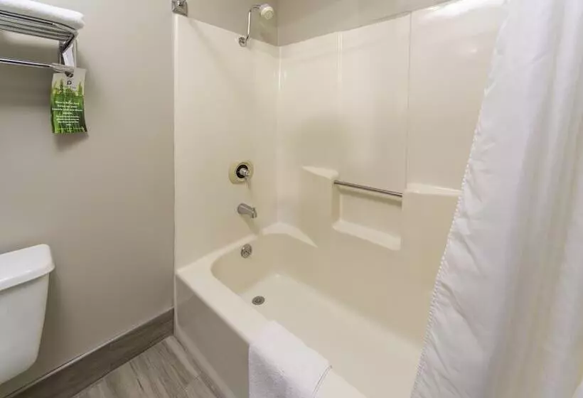 ２ダブルベッドのスタンダードルーム, Bridgepointe Inn & Suites By Bphotels, Council Bluffs, Omaha Area