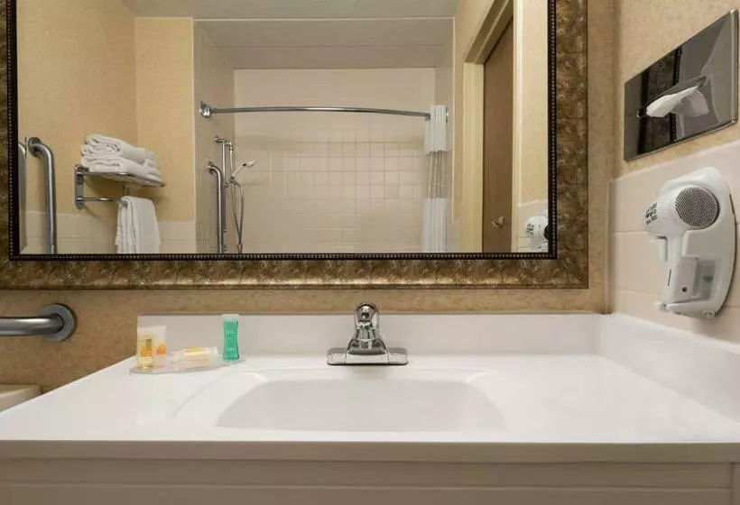 اتاق استاندارد با 2 تخت دوبل, Days Hotel By Wyndham University Ave Se