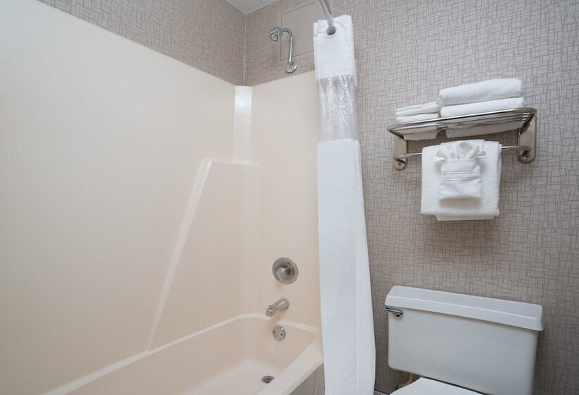 Business Kamer, Days Hotel By Wyndham University Ave Se