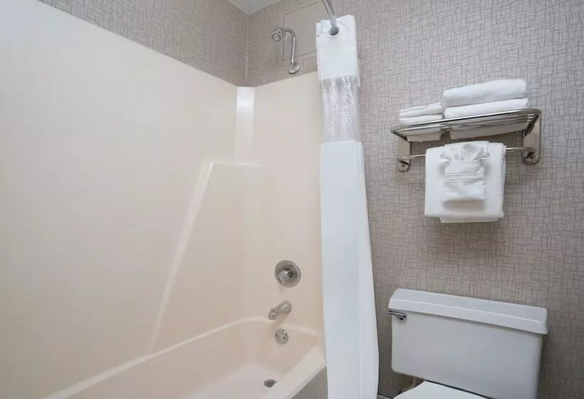 اتاق دلوکس مخصوص معلولین, Days Hotel By Wyndham University Ave Se