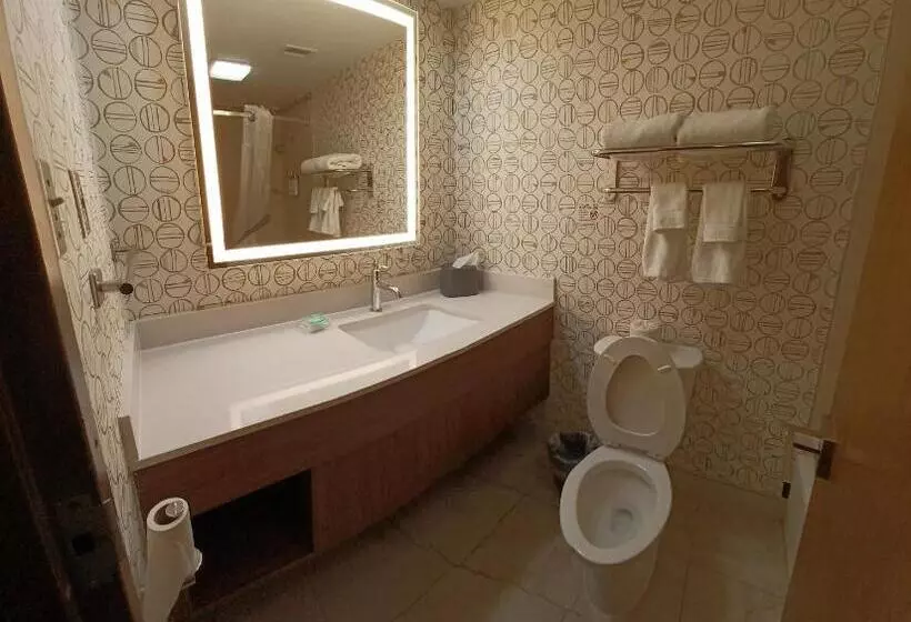 سوئیت با تخت بزرگ, Holiday Inn   Mcallen   Medical Center Area, An Ihg