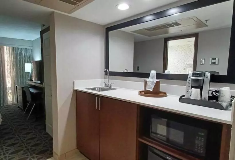 سوئیت با تخت بزرگ, Holiday Inn   Mcallen   Medical Center Area, An Ihg