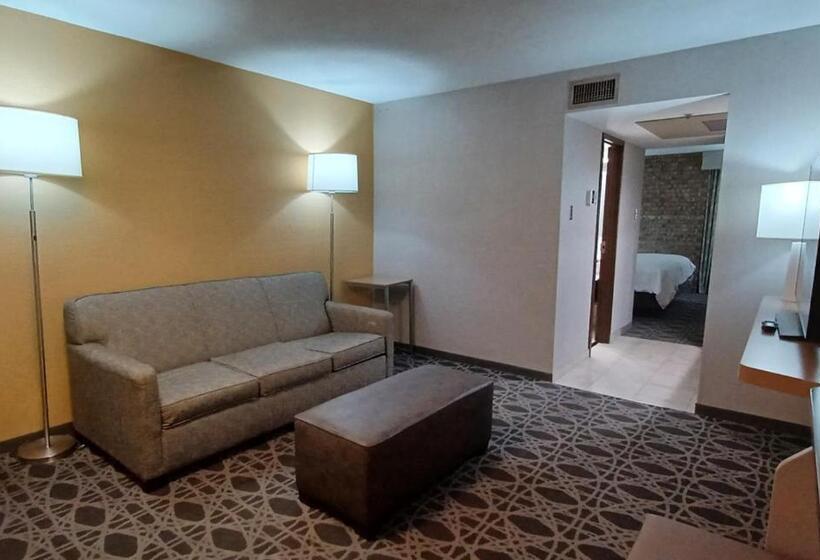Люкс Кровать Кинг, Holiday Inn   Mcallen   Medical Center Area, An Ihg