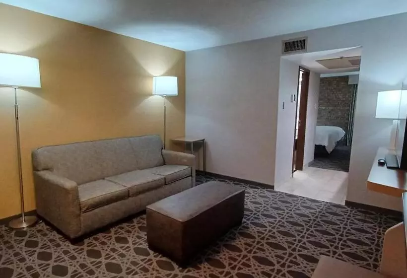 سوئیت با تخت بزرگ, Holiday Inn   Mcallen   Medical Center Area, An Ihg