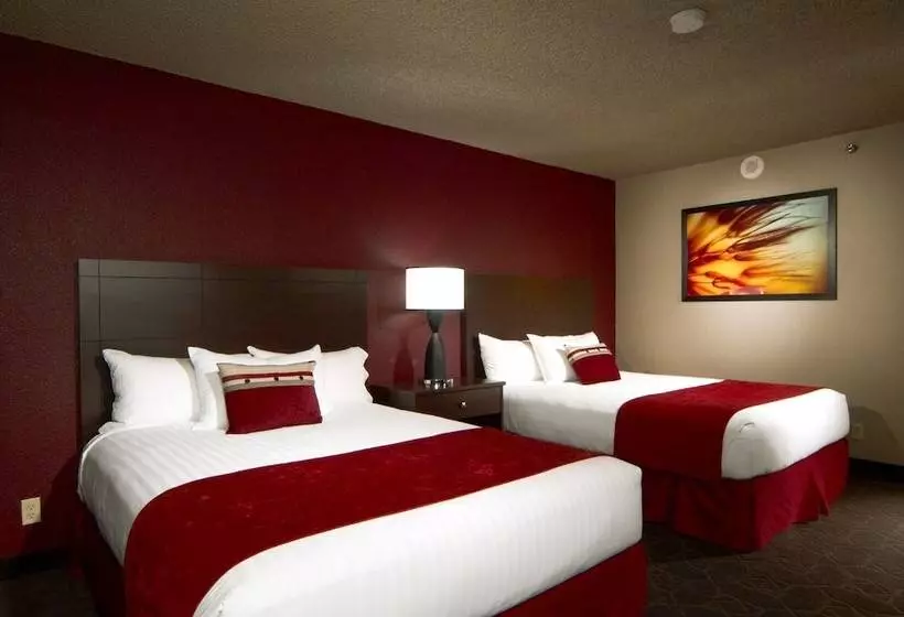 اتاق استاندارد, Edgewater Hotel & Casino Resort
