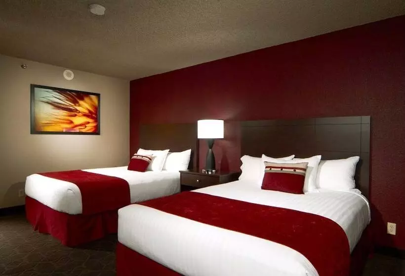 اتاق استاندارد, Edgewater Hotel & Casino Resort