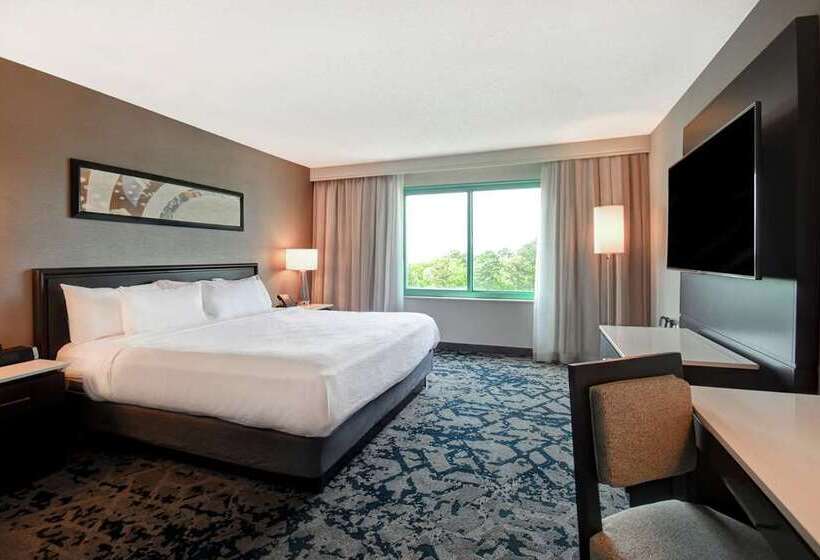 キングサイズベッドのスイートルーム, Embassy Suites By Hilton Austin Downtown South Congress