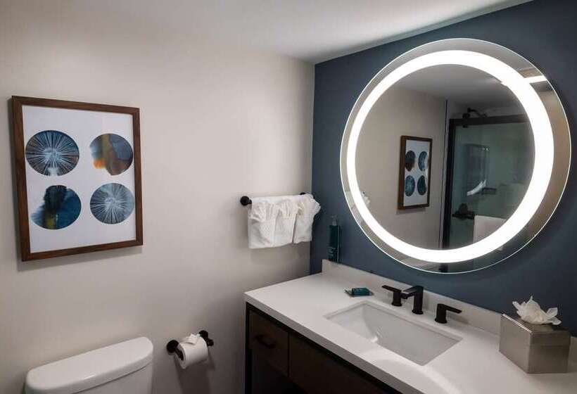 스위트 킹사이즈 침대, Embassy Suites By Hilton Austin Downtown South Congress