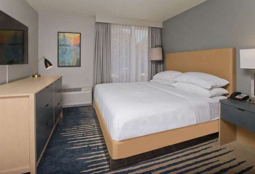 Suite Lit King, Embassy Suites By Hilton Austin Downtown South Congress