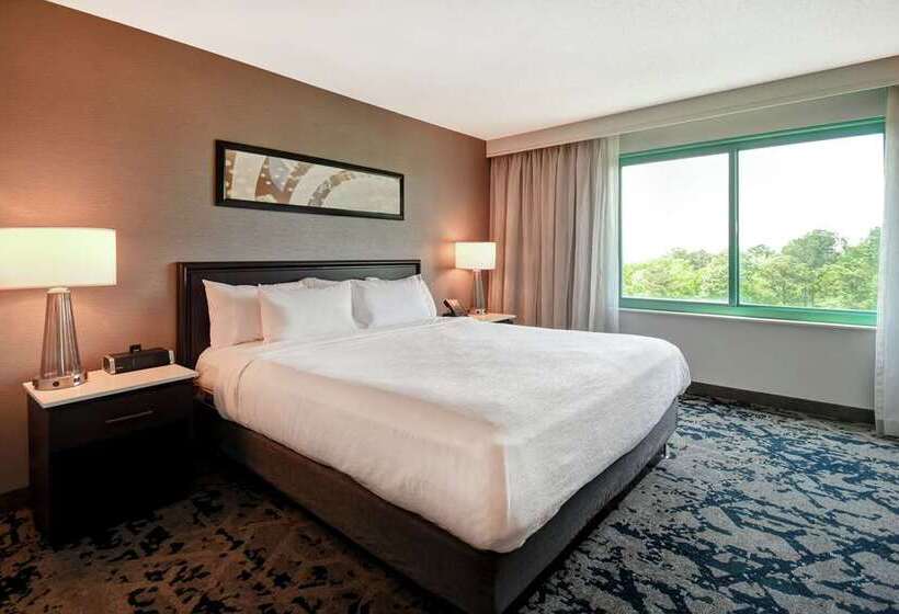 Suite Lit King, Embassy Suites By Hilton Austin Downtown South Congress