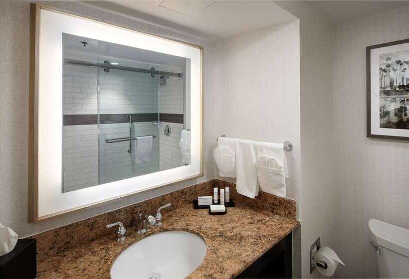 Suite Lit King, Embassy Suites By Hilton Austin Downtown South Congress