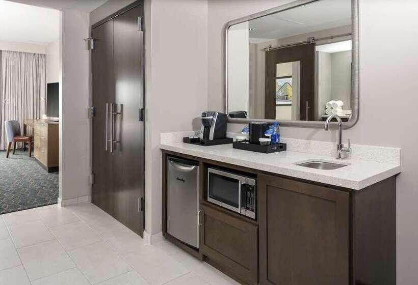 스위트 킹사이즈 침대, Embassy Suites By Hilton Austin Downtown South Congress