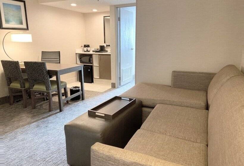 Suite, Embassy Suites By Hilton Chicago Schaumburg Woodfield
