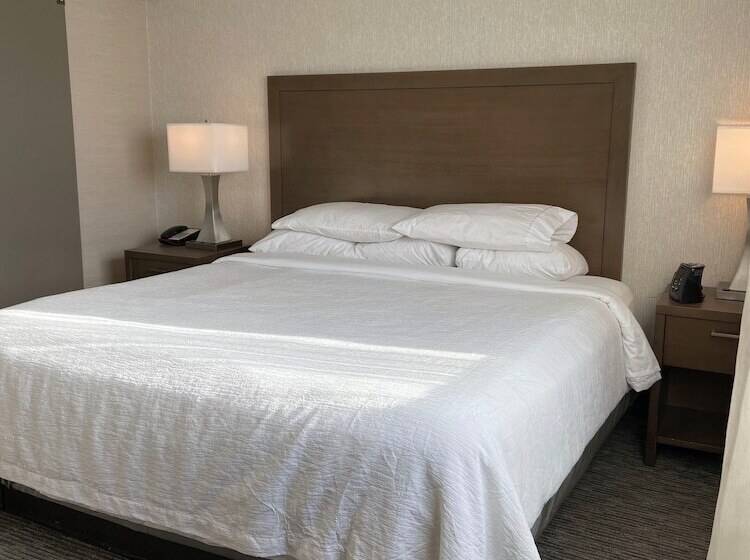 Люкс, Embassy Suites By Hilton Chicago Schaumburg Woodfield