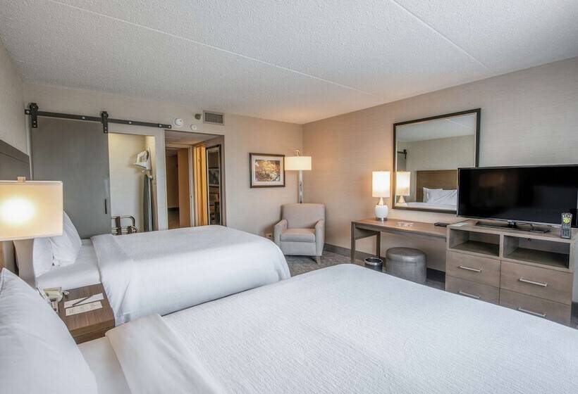 Люкс, Embassy Suites By Hilton Chicago Schaumburg Woodfield