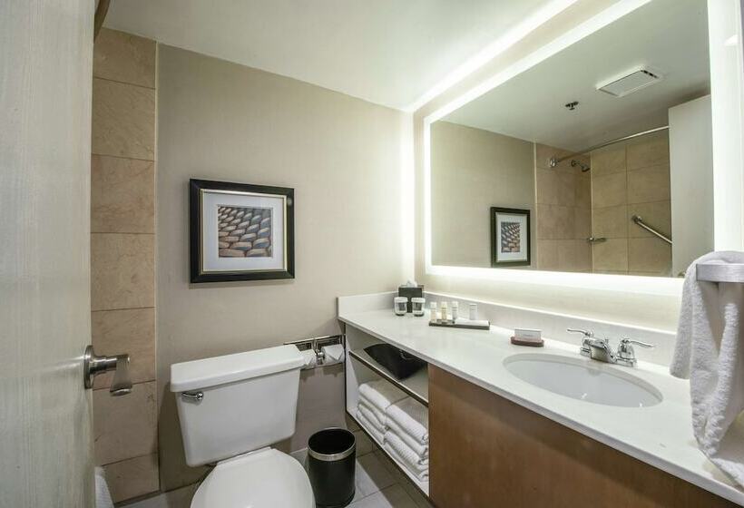 Люкс Кровать Кинг, Embassy Suites By Hilton Chicago Schaumburg Woodfield