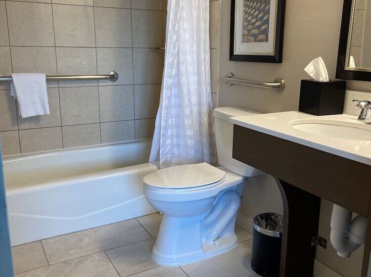 Люкс Адаптированный для Инвалидов, Embassy Suites By Hilton Chicago Schaumburg Woodfield