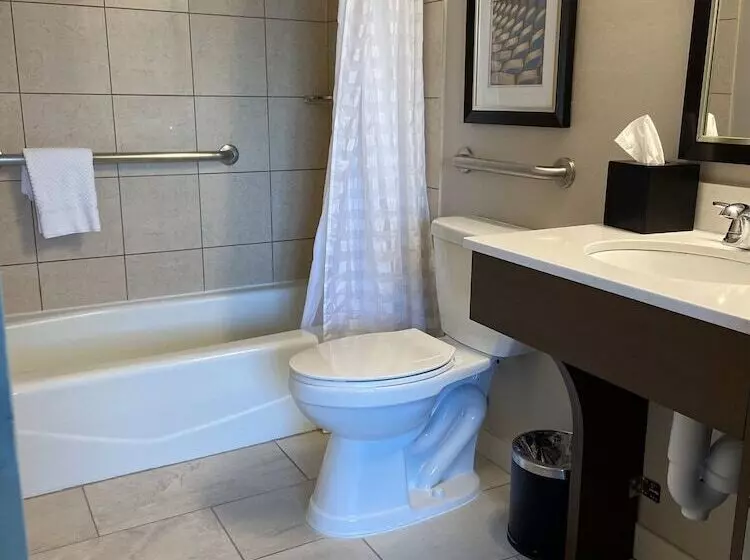 سوئیت برای معلولان, Embassy Suites By Hilton Chicago Schaumburg Woodfield