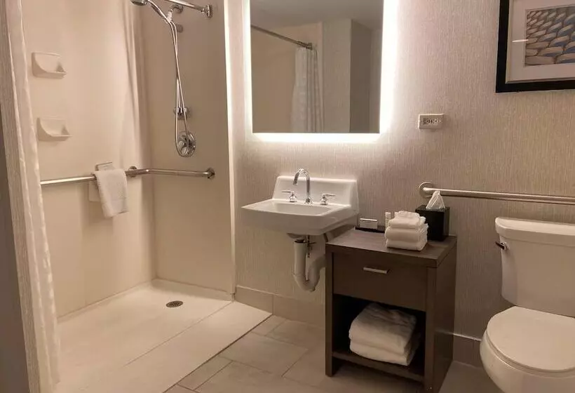 سوئیت برای معلولان, Embassy Suites By Hilton Chicago Schaumburg Woodfield