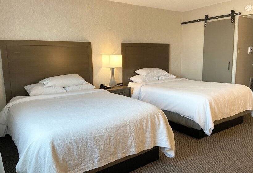 Люкс, Embassy Suites By Hilton Chicago Schaumburg Woodfield