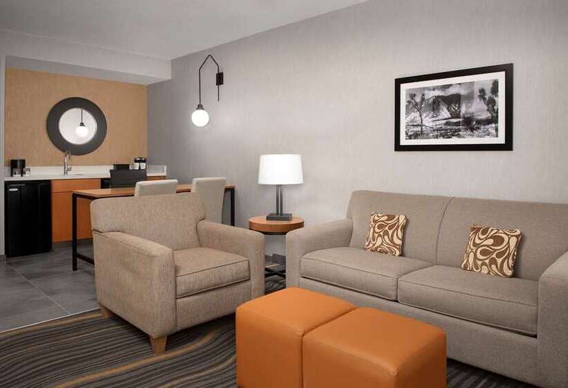 Люкс, Embassy Suites By Hilton Chicago Schaumburg Woodfield