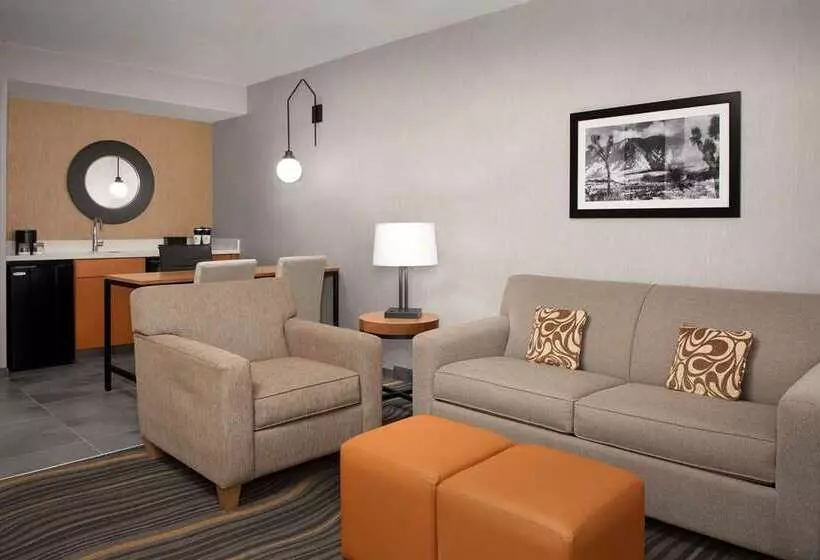 سوییت, Embassy Suites By Hilton Chicago Schaumburg Woodfield