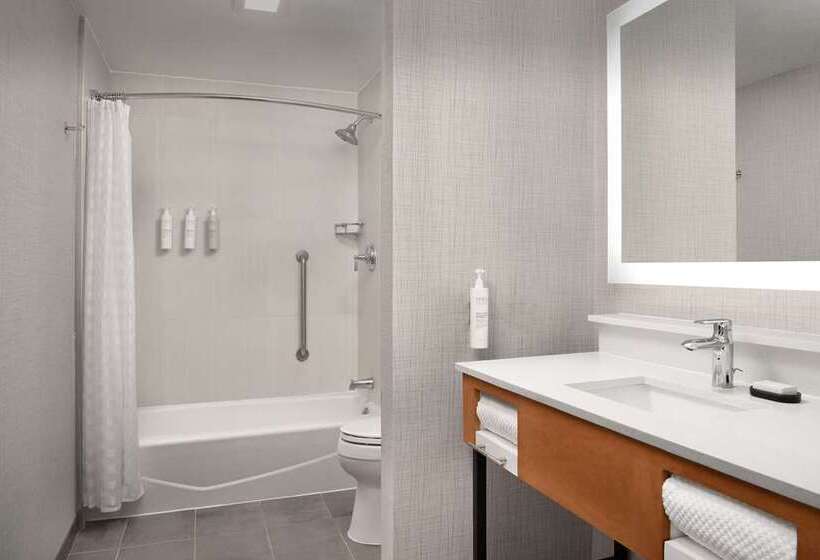 Люкс, Embassy Suites By Hilton Chicago Schaumburg Woodfield