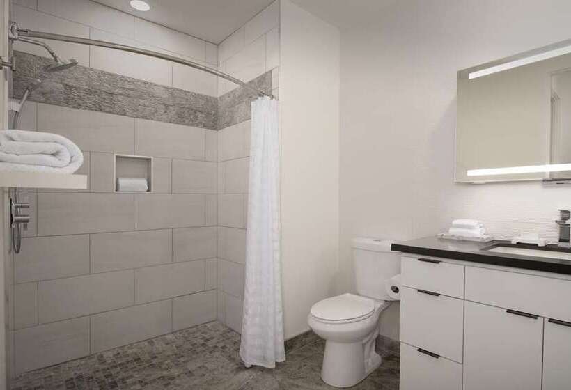 Suite, Embassy Suites By Hilton Chicago Schaumburg Woodfield