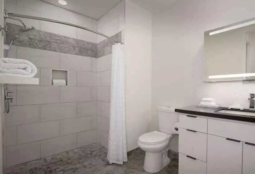 سوییت, Embassy Suites By Hilton Chicago Schaumburg Woodfield