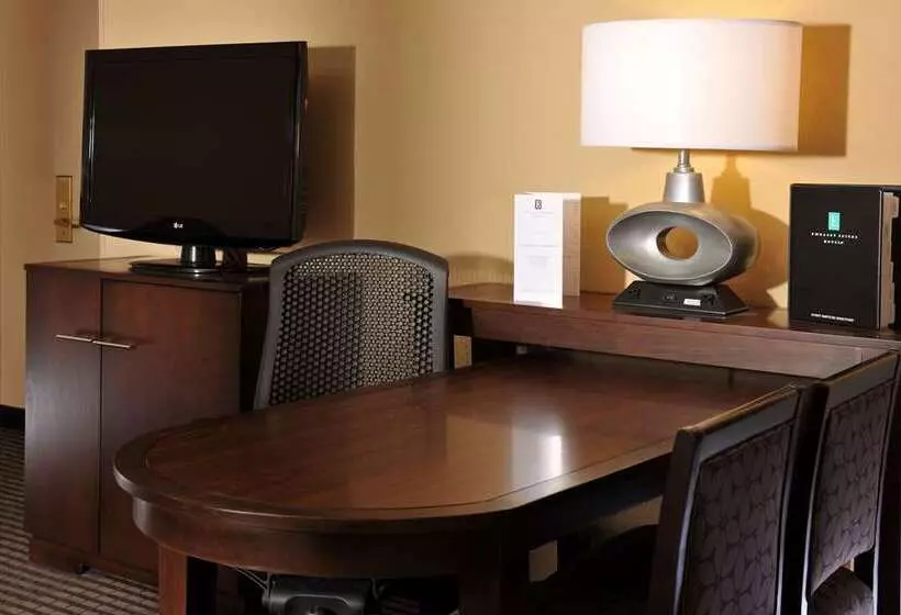 سوئیت با تخت بزرگ, Embassy Suites By Hilton Chicago Schaumburg Woodfield
