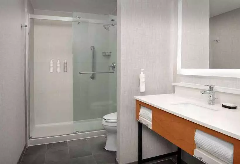 سوئیت با تخت بزرگ, Embassy Suites By Hilton Chicago Schaumburg Woodfield