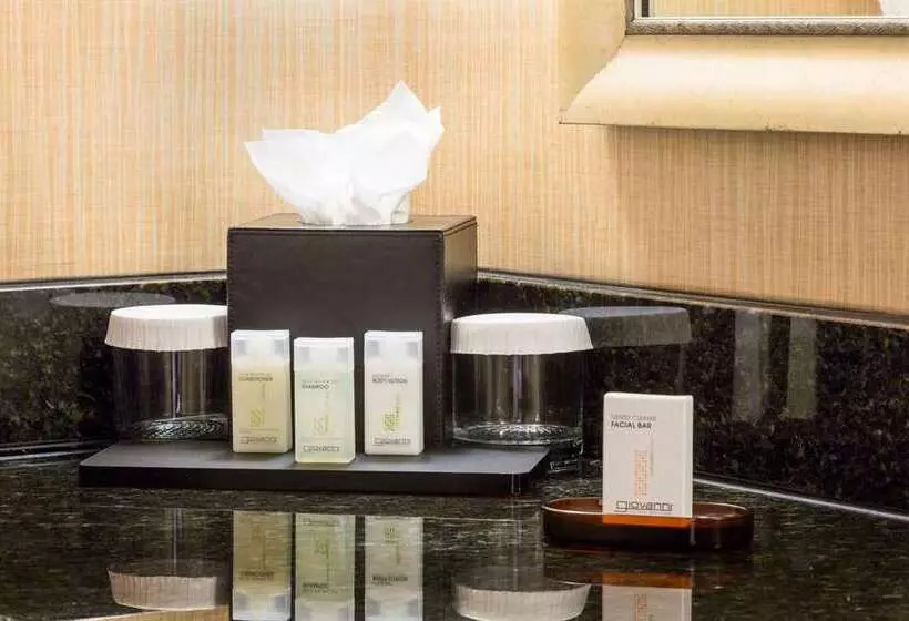 سوییت, Embassy Suites By Hilton Chicago Schaumburg Woodfield