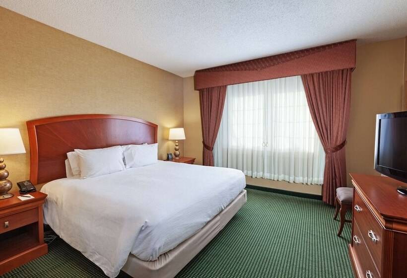 高级套房, Embassy Suites By Hilton Greensboro Airport