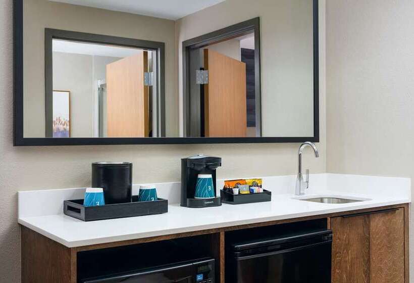 Люкс Кровать Кинг, Embassy Suites By Hilton Greensboro Airport