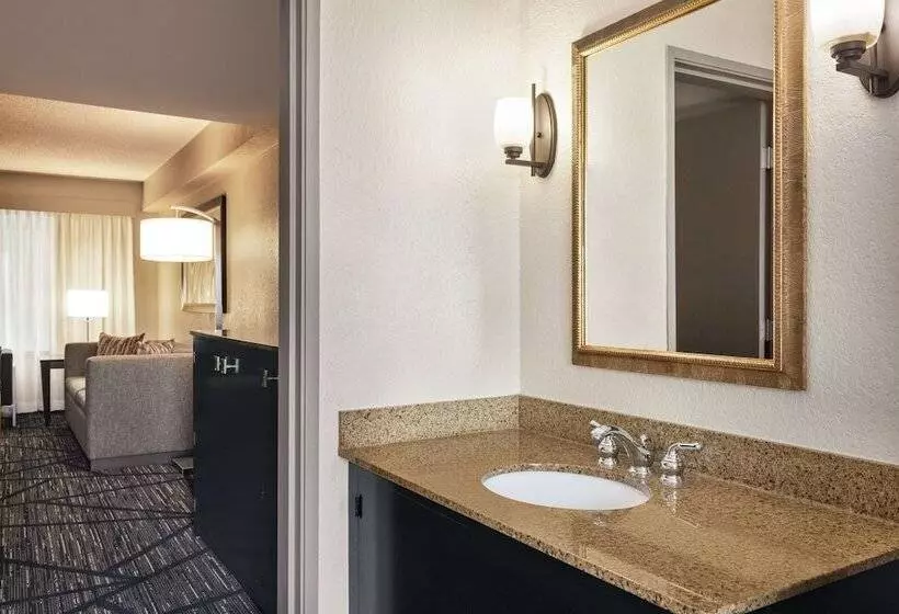سوئیت پریمیوم, Embassy Suites By Hilton Miami International Airport