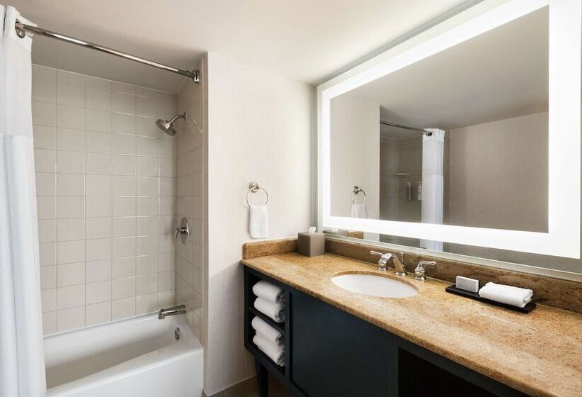 جناح بريميوم, Embassy Suites By Hilton Miami International Airport