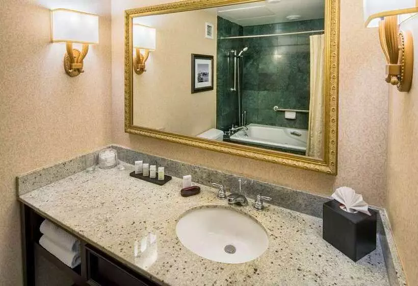 اتاق استاندارد, Embassy Suites By Hilton Miami International Airport