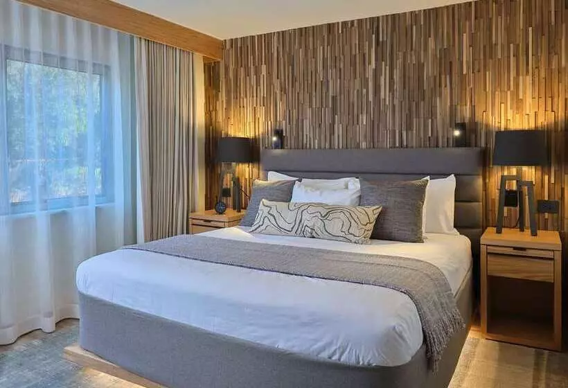 اتاق اجرایی با تخت بزرگ, Embassy Suites By Hilton Napa Valley