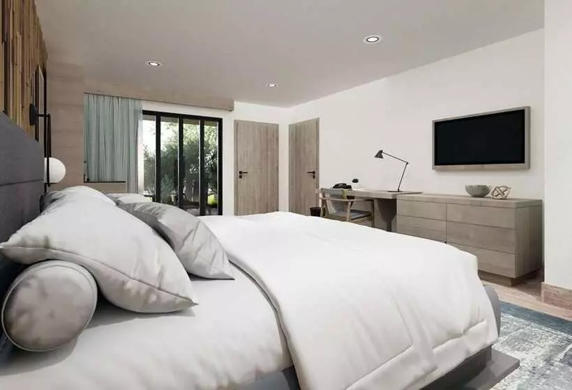 اتاق اجرایی با تخت بزرگ, Embassy Suites By Hilton Napa Valley