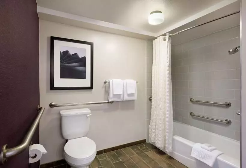 اتاق استاندارد با تخت دوبل, Embassy Suites By Hilton Santa Ana Orange County Airport