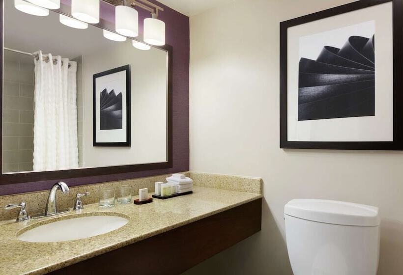 غرفة قياسية سرير مزدوج, Embassy Suites By Hilton Santa Ana Orange County Airport