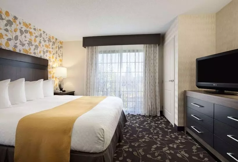 سوئیت با تخت بزرگ, Embassy Suites By Hilton Napa Valley