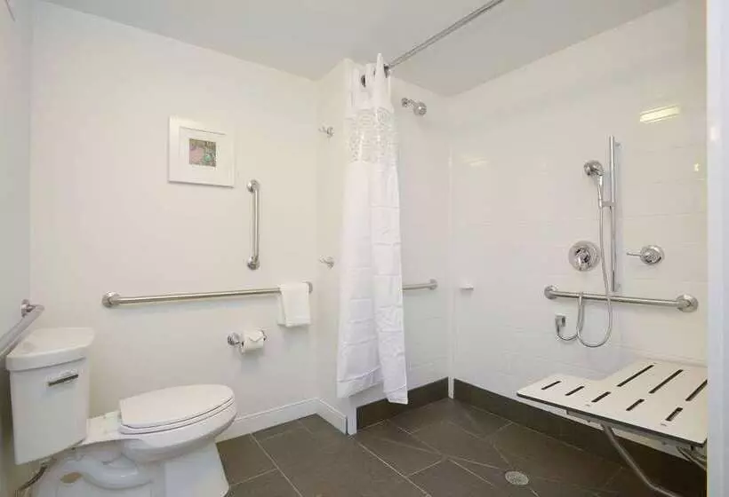 اتاق استاندارد, Hampton Inn Newark Airport