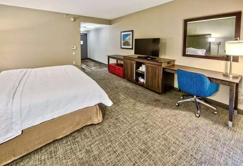 اتاق استاندارد, Hampton Inn Newark Airport
