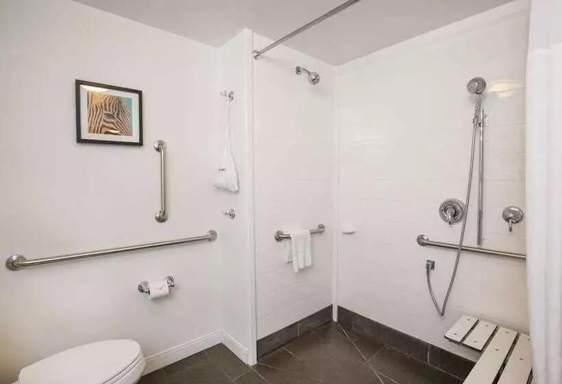 اتاق استاندارد, Hampton Inn Newark Airport