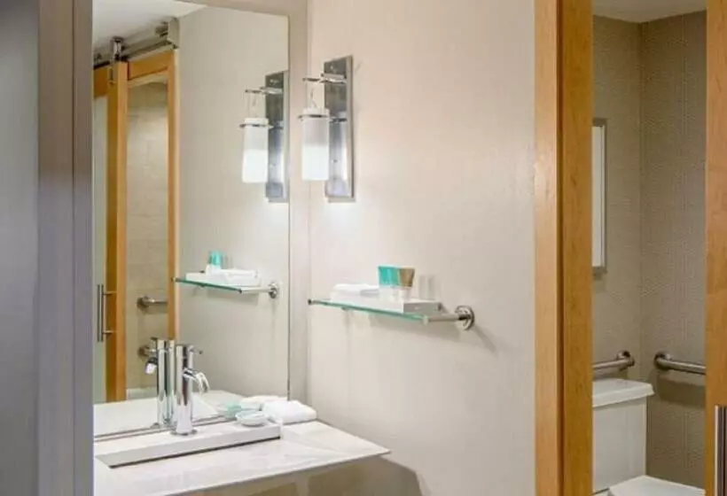 اتاق استاندارد با تخت بزرگ, Hyatt Regency Santa Clara