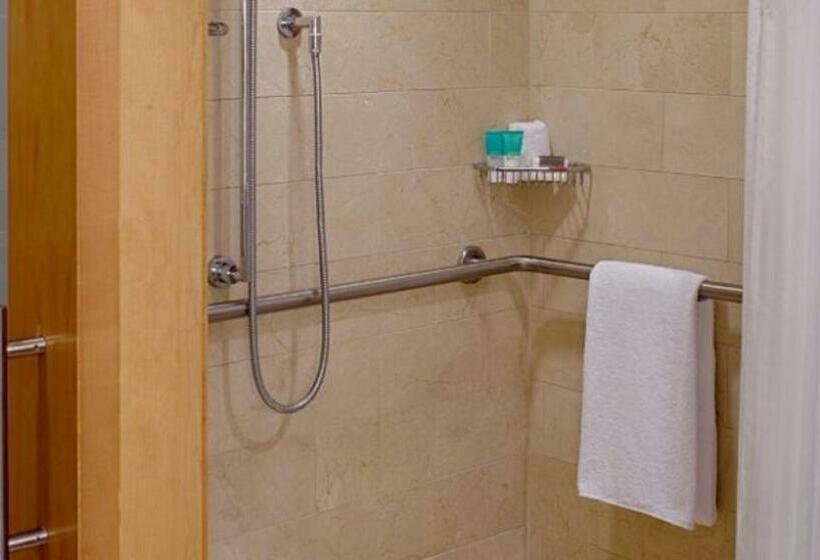 Стандартный Номер Кровать Кинг, Hyatt Regency Santa Clara